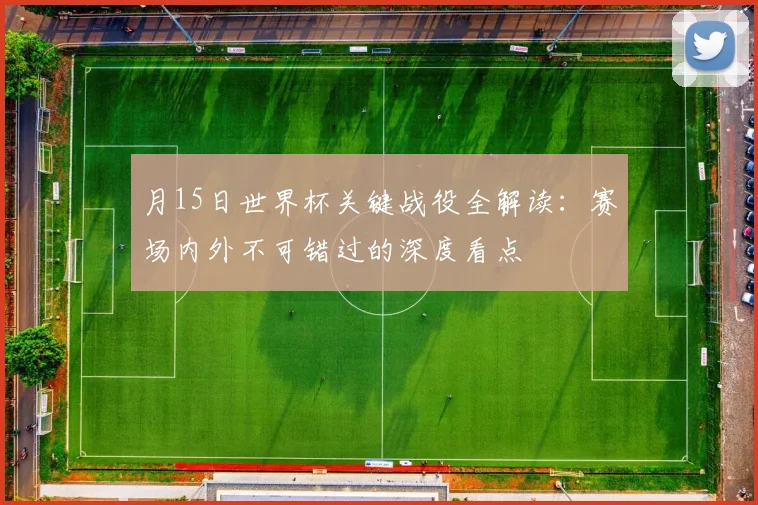 月15日世界杯关键战役全解读：赛场内外不可错过的深度看点