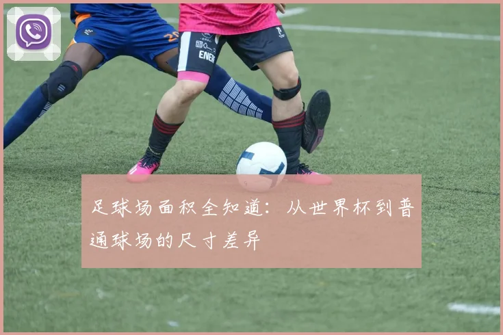 足球场面积全知道：从世界杯到普通球场的尺寸差异